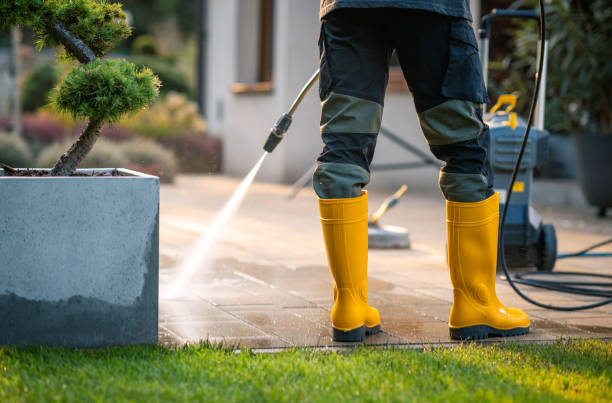 Best Roof Pressure Washing  in Lookout Mountain, AL